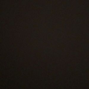 Meet your Posher, Bailey